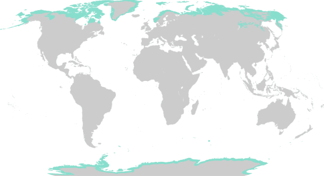 Tundra na mapie świata
