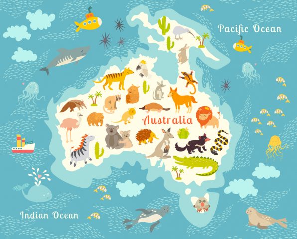 zwierzęta Australii