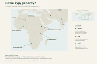 gdzie żyją gepardy Mapa występowania geparda z oznaczonymi regionami Afryki, Iranem i osobnym znacznikiem programu przywracania gatunku w Indiach.