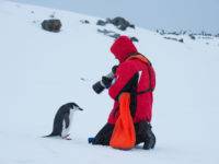 Lista ptaków Antarktyki