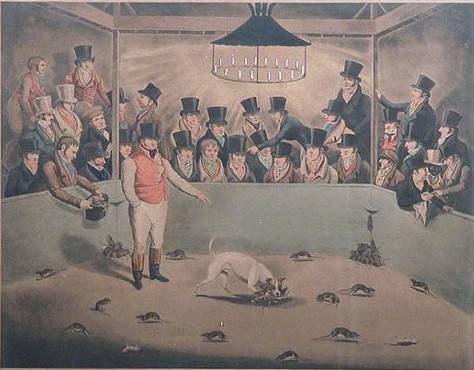 pies szczurołap 1823 rok