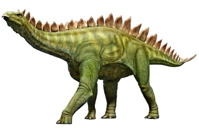 Różne gatunki dinozaurów roślinożernych, w tym Stegozaur
