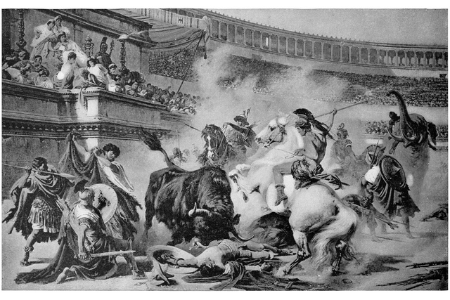 Walka byków w Koloseum